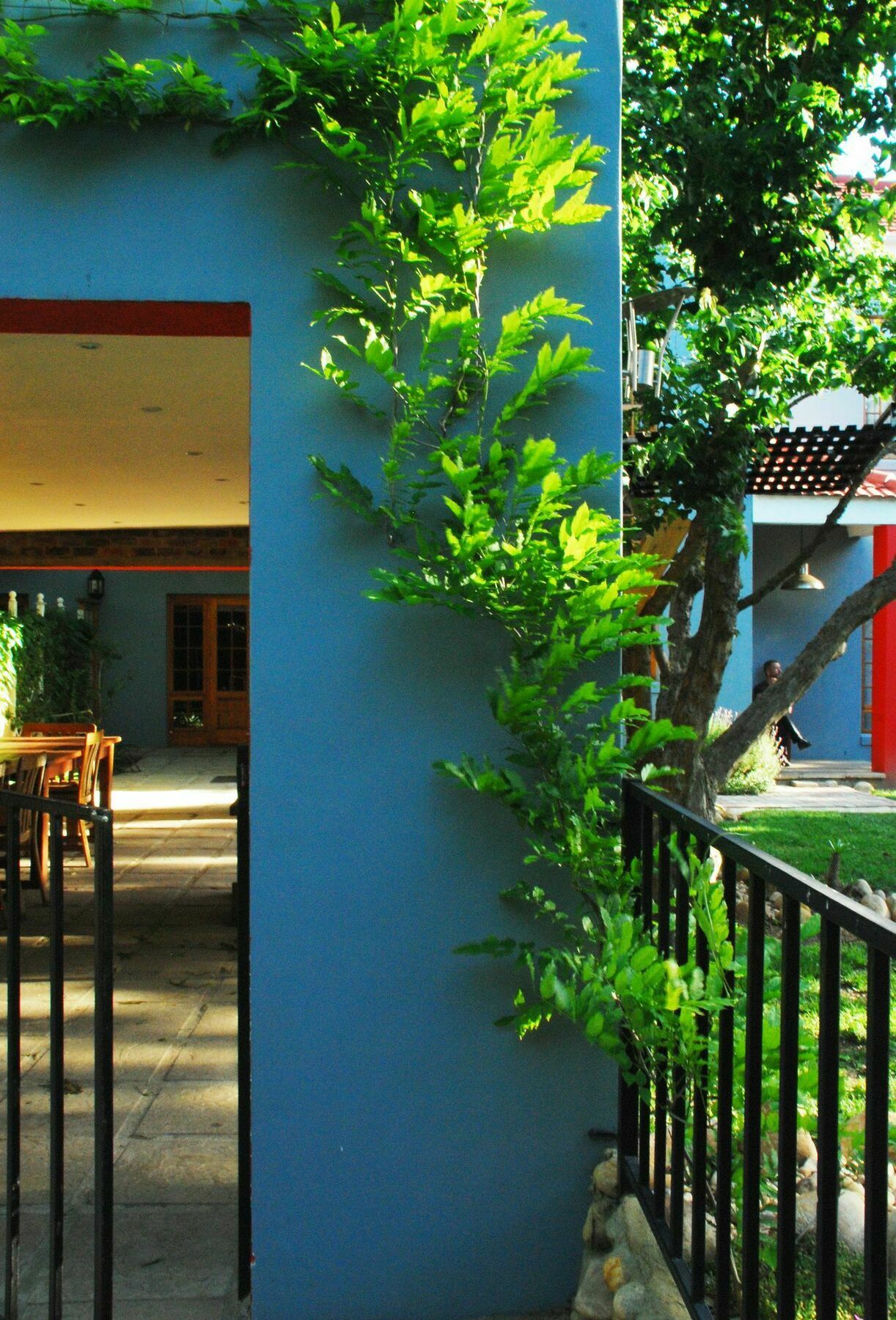 House Of House Guest House Stellenbosch Dış mekan fotoğraf